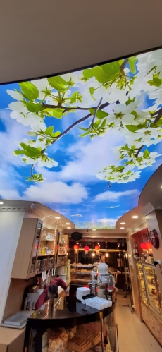 G�ky�z� Gergi Tavan modelleri