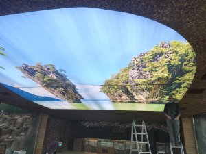 G�ky�z� Gergi Tavan modelleri