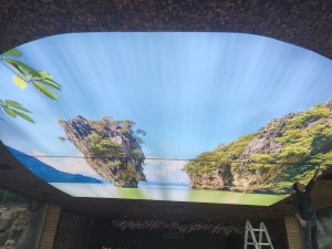 G�ky�z� Gergi Tavan modelleri