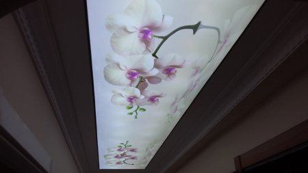 gergi tavan, germe tavan, gergili tavan, stretch ceiling, gergi tavan montaj, gergi tavan malzeme, gergi tavan fiyat, pvc, polyester, barrisol, gergi tavan model, uv bask�, akustik gergi tavan